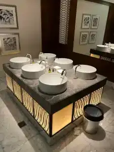 V Dubai, Curio Collection by Hilton - 25