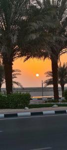 Marjan Island Resort & Spa Managed By Accor - 78