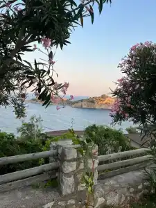 TUI BLUE Seno - Adults Only - 93