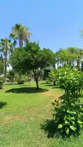 Saphir & Villas - 67