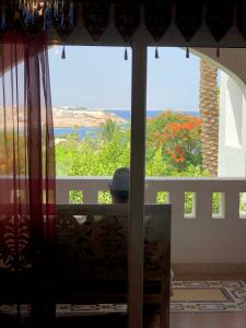 Domina Coral Bay Resort, Diving , Spa & Casino - 93