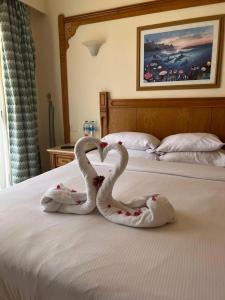 Hurghada Long Beach Resort - 70