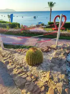 Concorde El Salam Sharm El Sheikh Sport - 60