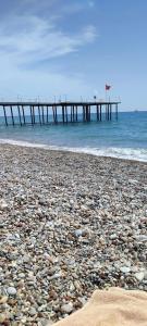 Loxia Comfort Club Side - 72