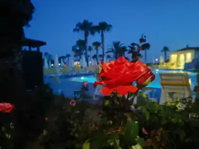 Justiniano Club Park Conti - 52