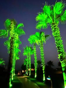 Limak Arcadia Sport Resort Belek - 56