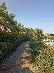 Kolibri - All Inclusive - 78