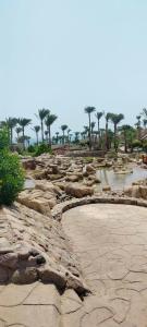 Parrotel Beach Resort - 91