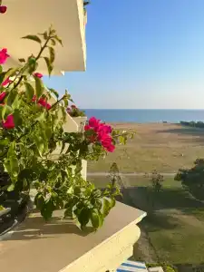 Selectum For Two Side - 72