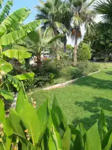 Lucida Beach - All Inclusive - 76