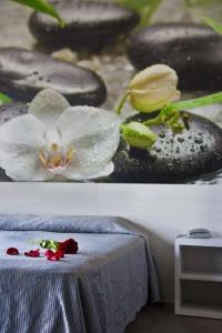 Amaraigua – All Inclusive – Adults Only - 29