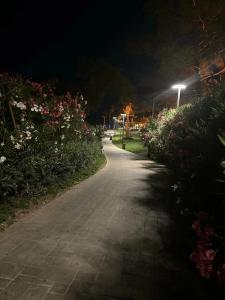 NG Phaselis Bay - 94