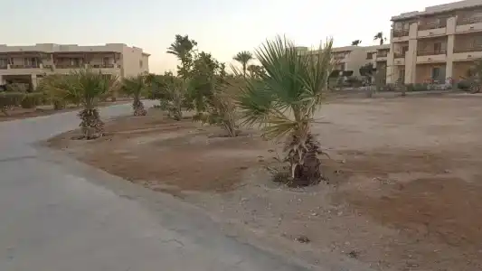 Sheraton Soma Bay Resort - 63