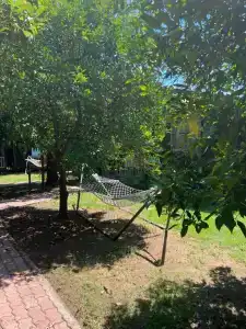 Caretta Caretta Pension - 75