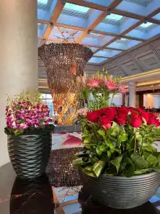 Rixos Sharm El Sheikh - Ultra All Inclusive Adults Only 18 Plus - 76