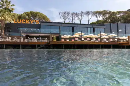 Unique Life Style - 17