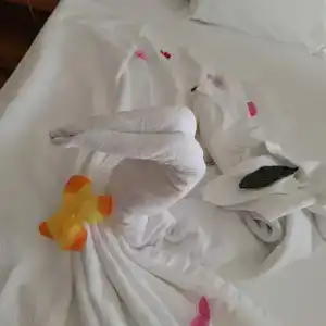 Grand Nar Adults Only - 77