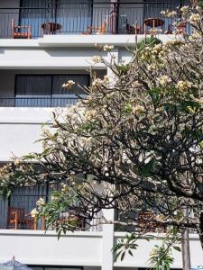 DoubleTree by Hilton Phuket Banthai Resort - 32