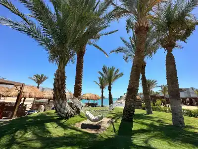 Sunrise Crystal Bay Resort -Grand Select - 42