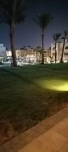 Pickalbatros Aqua Vista Resort - Hurghada - 49