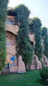 Prima Life Makadi - 89