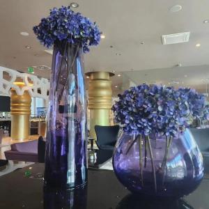 Falkensteiner Belgrade - 41