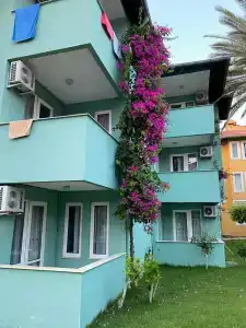 Armas Green Fugla Beach - 23