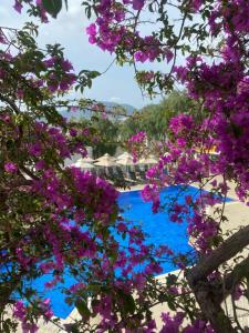 Riva Bodrum Resort- Adult Only +16 - 32