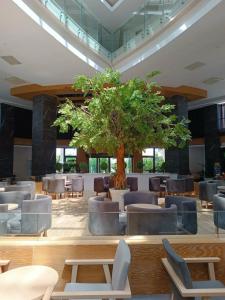 Side Crown Sunshine Ultra All Inclusive - 41