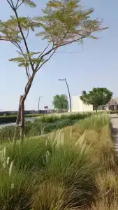 Holiday Inn Dubai Al-Maktoum Airport - 44