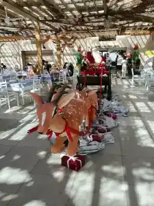 TUI MAGIC LIFE Kalawy - 51