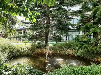 Meryan - Ultra All Inclusive - 98