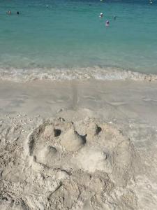 Premier Inn Dubai Barsha Heights - 12