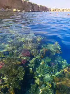 Dreams Vacation Resort - Sharm El Sheikh - 8