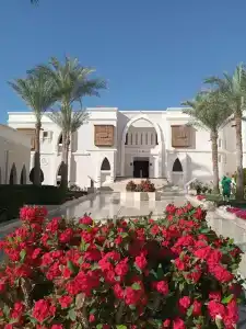Club Reef Resort & Spa - 59