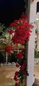 Форт Арабеск Резорт, Спа & Виллы - 52