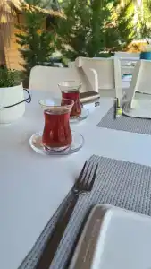 The Hill Glamping Cirali - 14