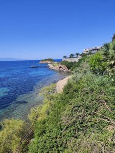 Aria Claros Beach & Spa Resort – All Inclusive 24H - 86