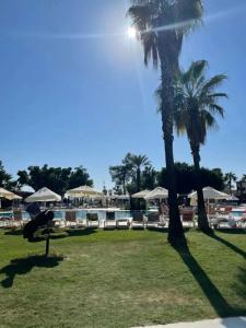 Loxia Comfort Club Side - 33