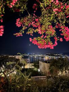 Riva Bodrum Resort- Adult Only +16 - 84