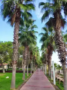 Akka Antedon - Premium Ultra All Inclusive - 31