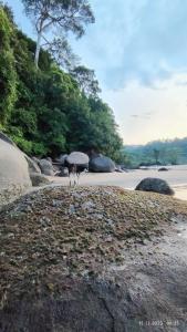 The Briza Beach Resort, Khao Lak SHA Extra Plus - 13