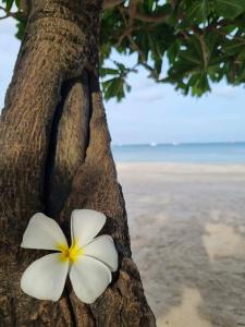 DoubleTree by Hilton Phuket Banthai Resort - 18