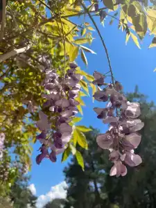 Arcanuss Sorgun - Ultra All Inclusive - 83