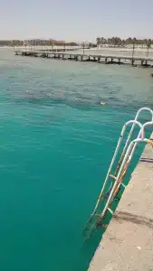 Pharaoh Azur Resort - 68