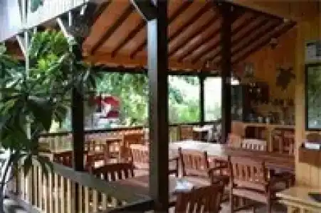 Caretta Caretta Pension - 86