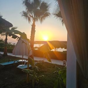 Crystal Prestige Elite - 45