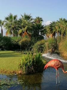 Club Turan Prince World - Kids Concept - 82