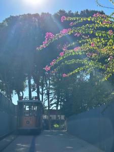 Calyptus Kirman Premium - Ultra All Inclusive - 63