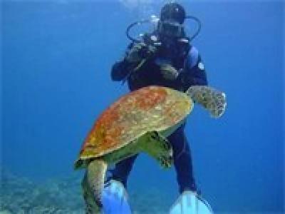 Daniela Diving Resort Dahab - 7